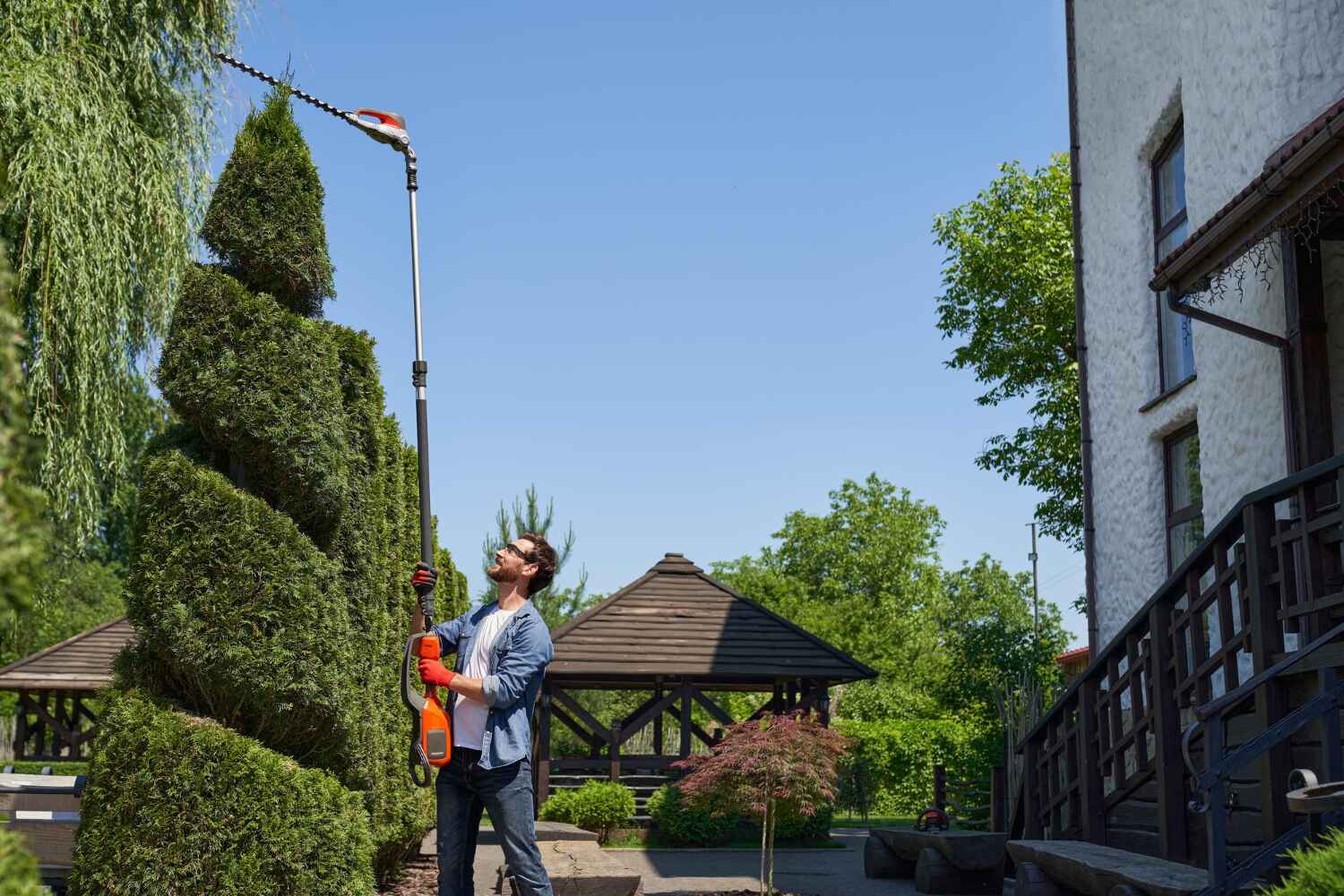 Best Tree Removal for Businesses  in Gloucester City, NJ